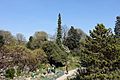 Alpine Garden @ Jardin des Plantes @ Paris (33705561705)