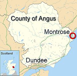 Angus-Montrose