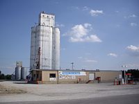 Cooperative Grain and Supply in Lehigh, Kansas