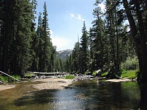 W Walker River from Emigrant out to Leavitt Mdws.jpg