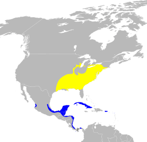Wilsonia citrina map.svg