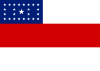 Flag of Amazonas State