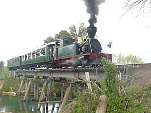 Bay of Islands Vintage Railway - Gabriel on Number 5 Bridge.JPG