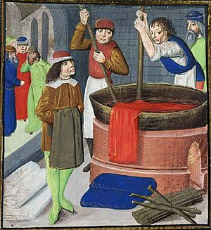Dyeing British Library Royal MS 15.E.iii, f. 269 1482