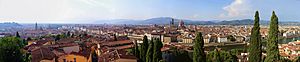 Firenze panorama from the Giardino Bardini