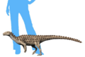 Scutellosaurus lawleri NT