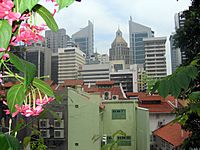 Singapore from Chinatown