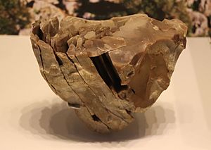 Stone Core for Making Blades - Boqer Tachtit, Negev, circa 40000 BP (detail)