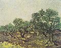 Van Gogh - Olivenpflücker2