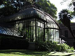 2019 Buenos Aires - Invernadero del Jardín Botánico