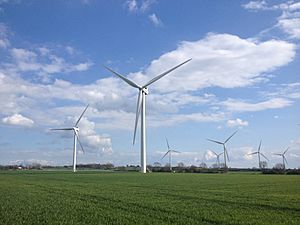 Biggleswade Wind Farm