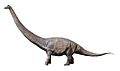 Dreadnoughtus NT small