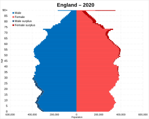 England Population pyramid estimate 2020