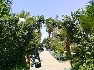 Gaza Park - منتزه بلدية غزة