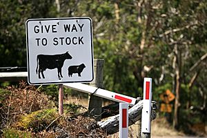 Give Way To Stock (6759026099)