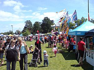 Grey Lynn Festival In Auckland 2008