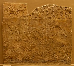 Lachish Relief, British Museum 17