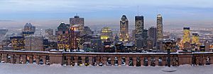 Mount Royal Montreal Lookout