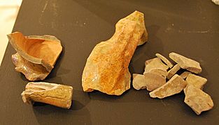Pottery fragments from the Great Drain at Paisley Abbey