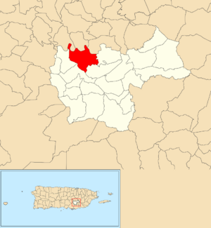 Location of Toíta within the municipality of Cayey shown in red