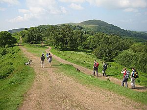 Walkers on the Malvern Hills - geograph.org.uk - 825312