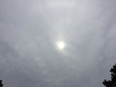 2017-06-22 16 57 51 Sun shining dimly through an altostratus cloud layer over Ladybank Lane in the Chantilly Highlands section of Oak Hill, Fairfax County, Virginia