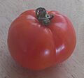 Blaby Special ripened August 14 2023. Grown from seed late May.
