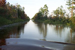 Crabgrass Road, under three feet of water