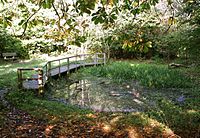Highfield Country Park pond