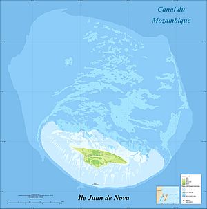 Juan de Nova Island and reef land cover map-fr