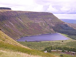 Llyn Fawr Reservoir.jpg
