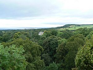 Mansion in the trees - geograph.org.uk - 1465362