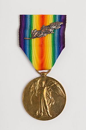 Medal, campaign (AM 800720-1)