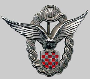 NDH Air Force badge.jpg