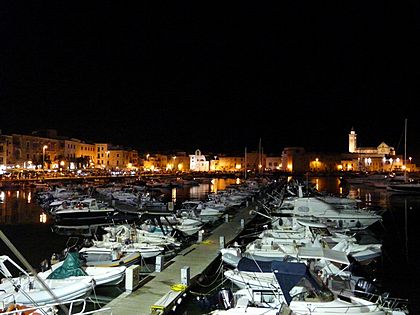 Trani - centro storico e porto di notte