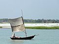 Boat Sailing up Padma River Bangladesh
