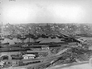 Darling Harbour, 1900