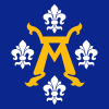 Flag of Turku