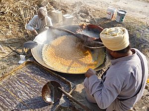Making Jaggery (Gur) in Punjab