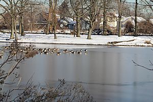 Springfield Park (Queens) in Winter