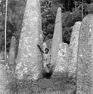 COLLECTIE TROPENMUSEUM Monolithen in Toraja TMnr 10005152