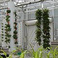 Living with the land greenhouse