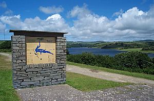 Llys-y-fran Reservoir and Country Park - geograph.org.uk - 14030