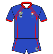 Newcastle Jersey 2008.png