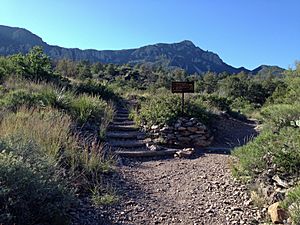 Trail junction and Emory Peak