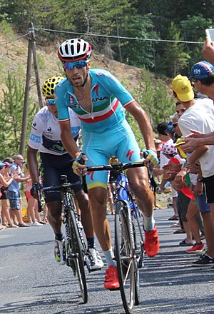 2015 Tour de France Stage 14 Quintana Nibali (cropped)