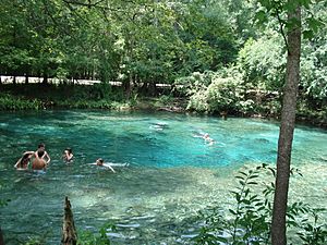 swimmers in Ginnie Springs