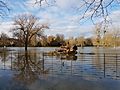 Magdalen college oxford water meadow flooded 1