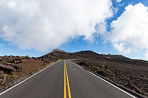 Mount Haleakala Bergspitze Maui, Hawaii (45690249602)