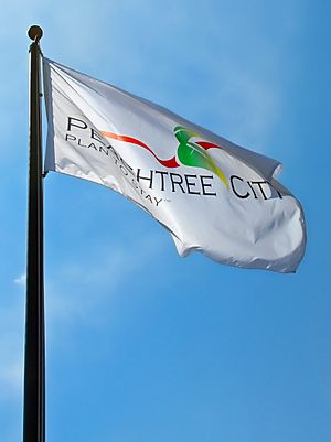 Official Peachtree City flag in Peachtree City, Georgia